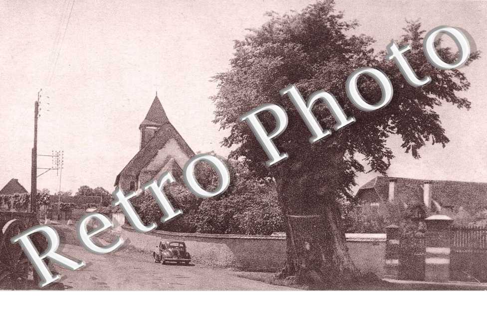 L'eglise et le gros orme