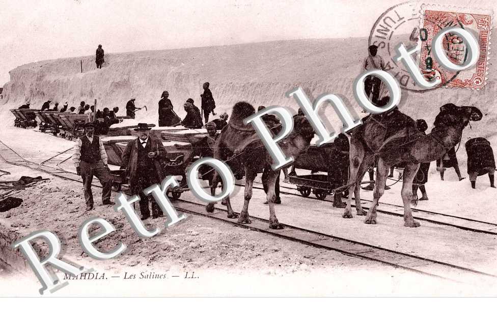 Les salines