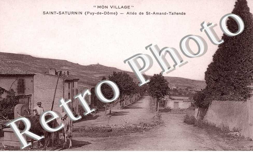 Allee de Satint Amand, vue generale