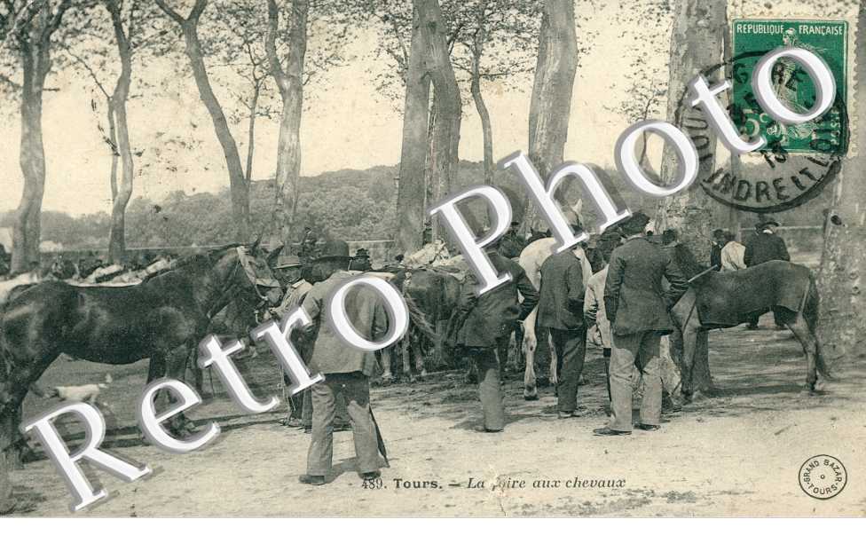 La Foire aux Chevaux