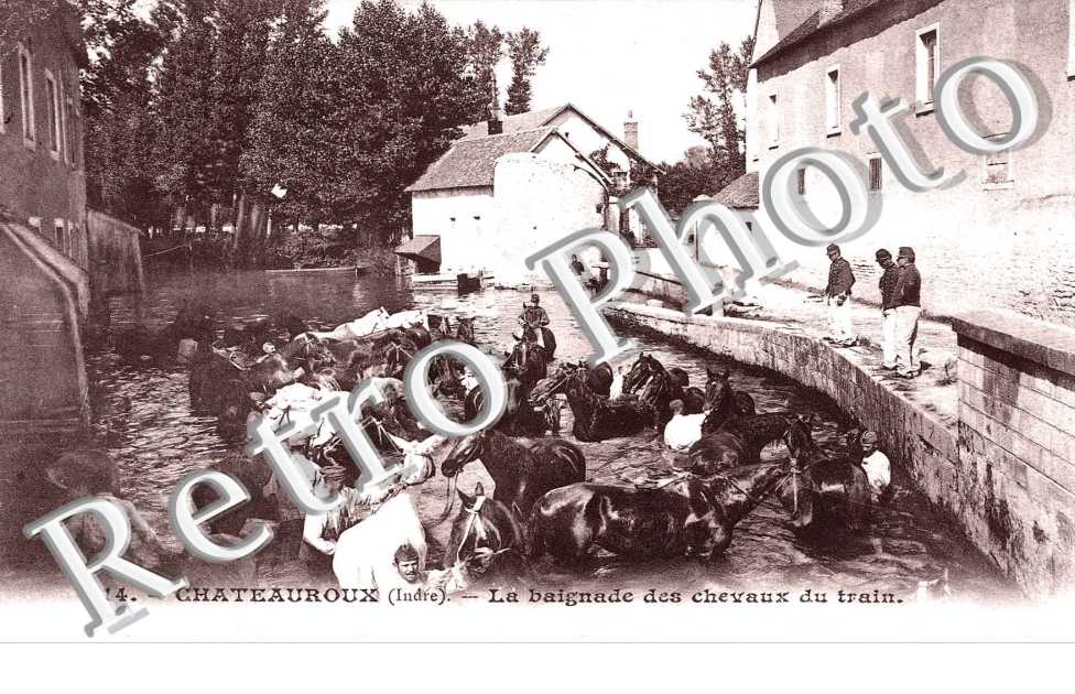 La Baignade des Chevaux du Train
