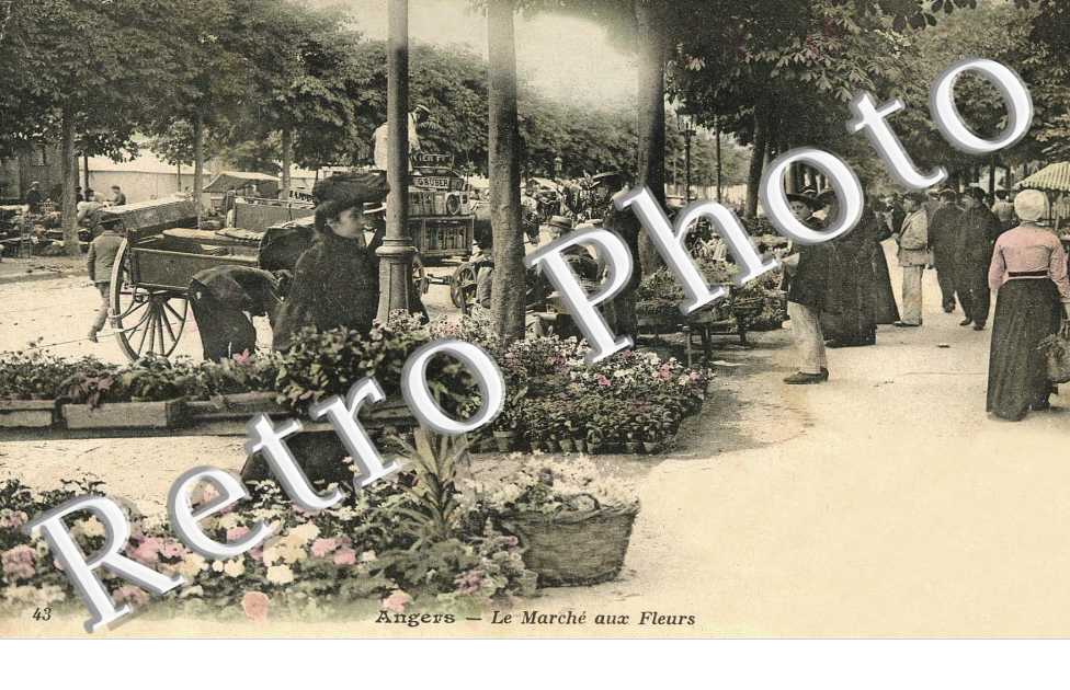 Le Marche aux Fleurs