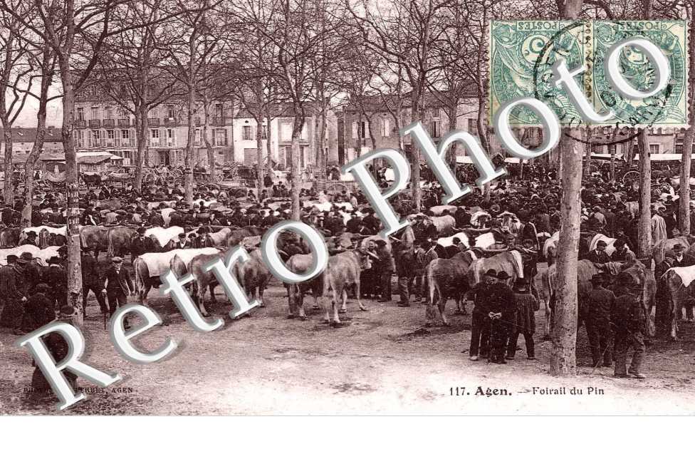 Foirail du Pin