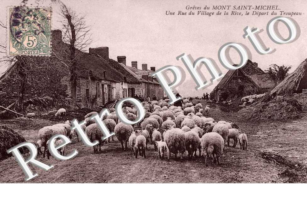 GREVE DU MONT ST MICHEL