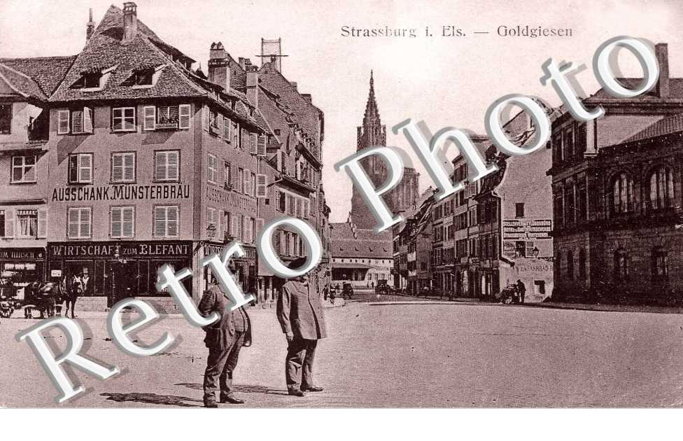 GOLDGIESEN