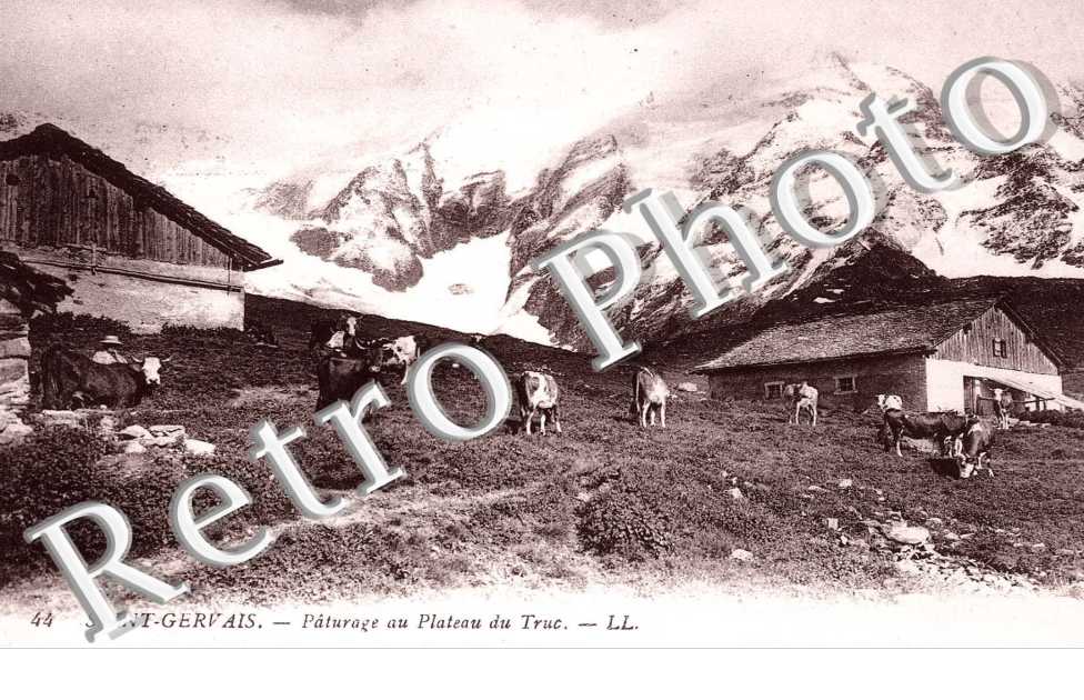 PATURAGE AU PLATEAU DU TRUC