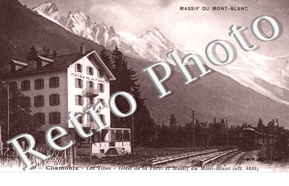 Hotel de la foret