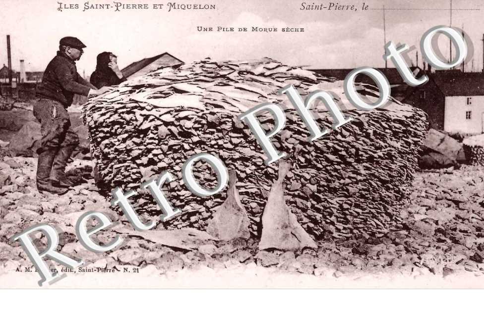 Une Pile de Morue Seche