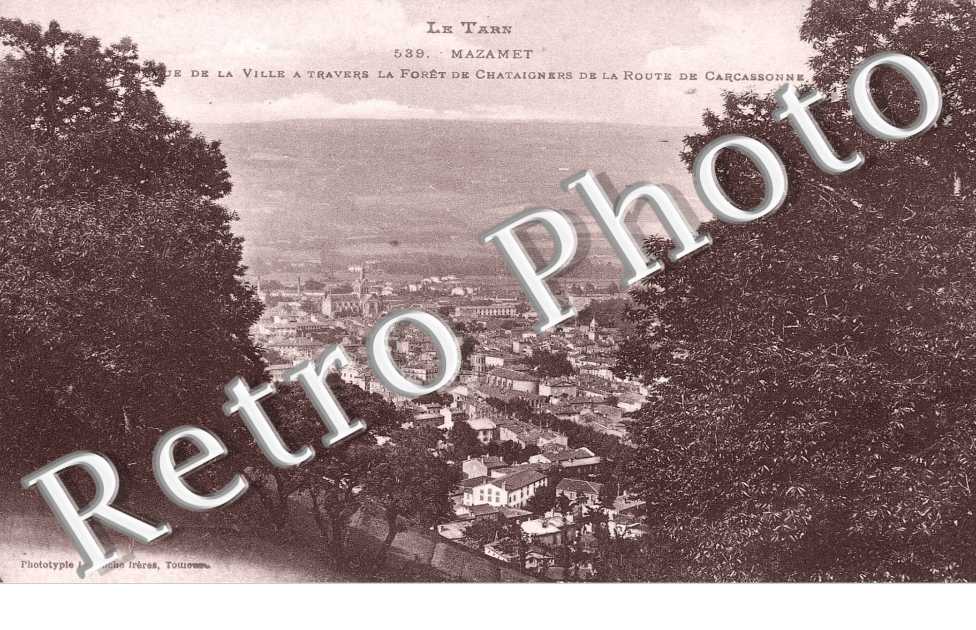 Vue de la Ville à Travers la Forêt de Chataigners