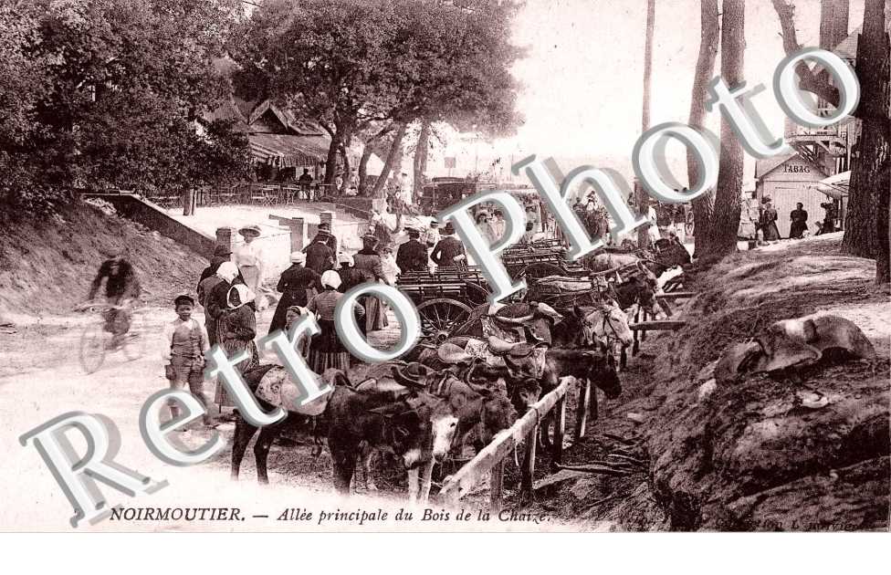 Allee principale du bois de la Chaise