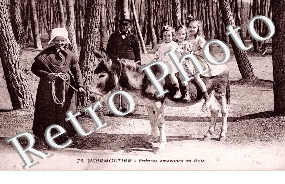 futures amazones au bois