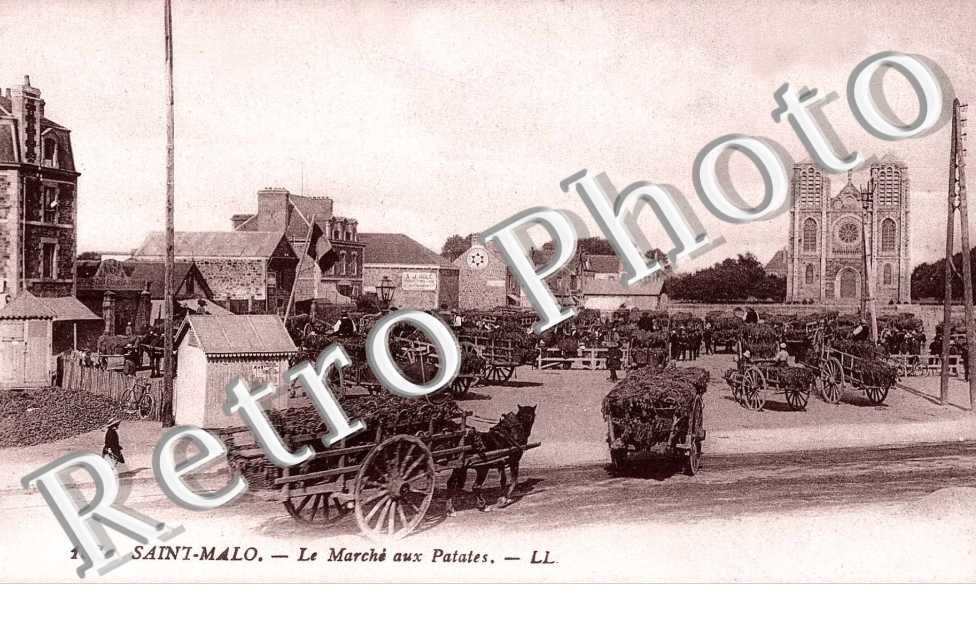 le marche aux patates