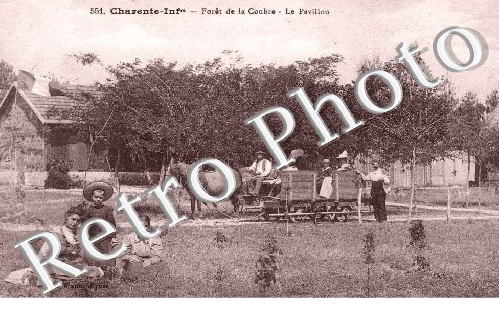 foret de la coubre - le pavillon