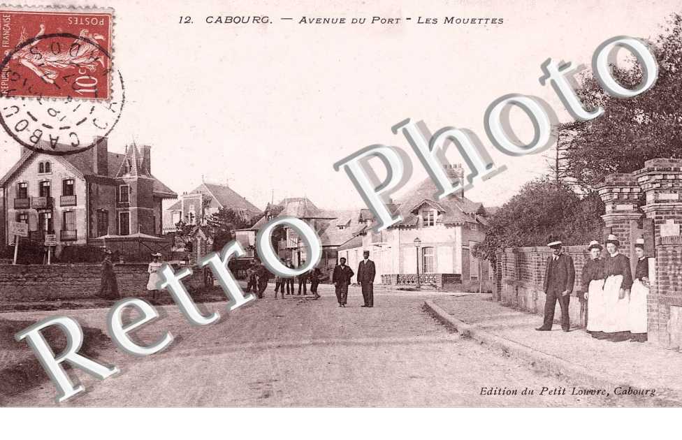 avenue du Port, les mouettes
