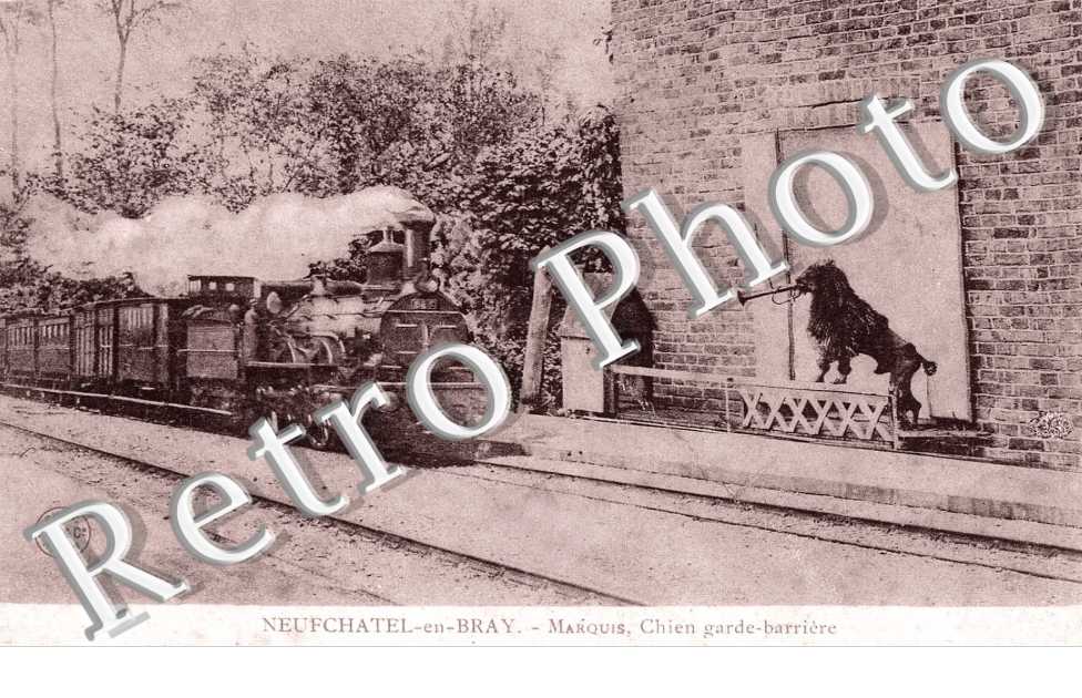 Marquis chien garde-barriere - Locomotive
