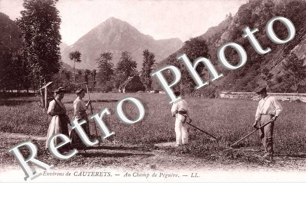 Au Champ de Peguere