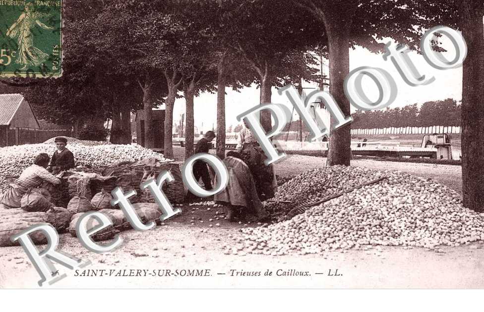trieuses de cailloux