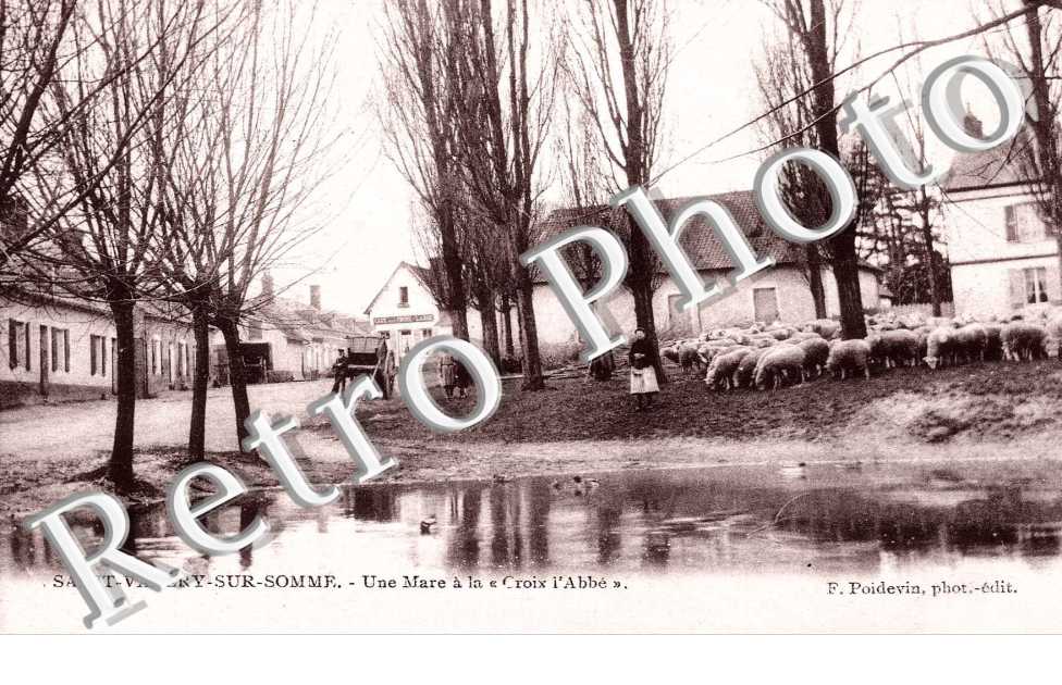 la mare de la Croix l'Abbe
