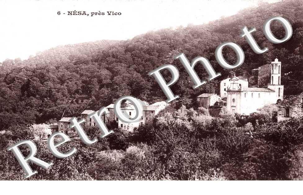 Panorama Nesa pres Vico