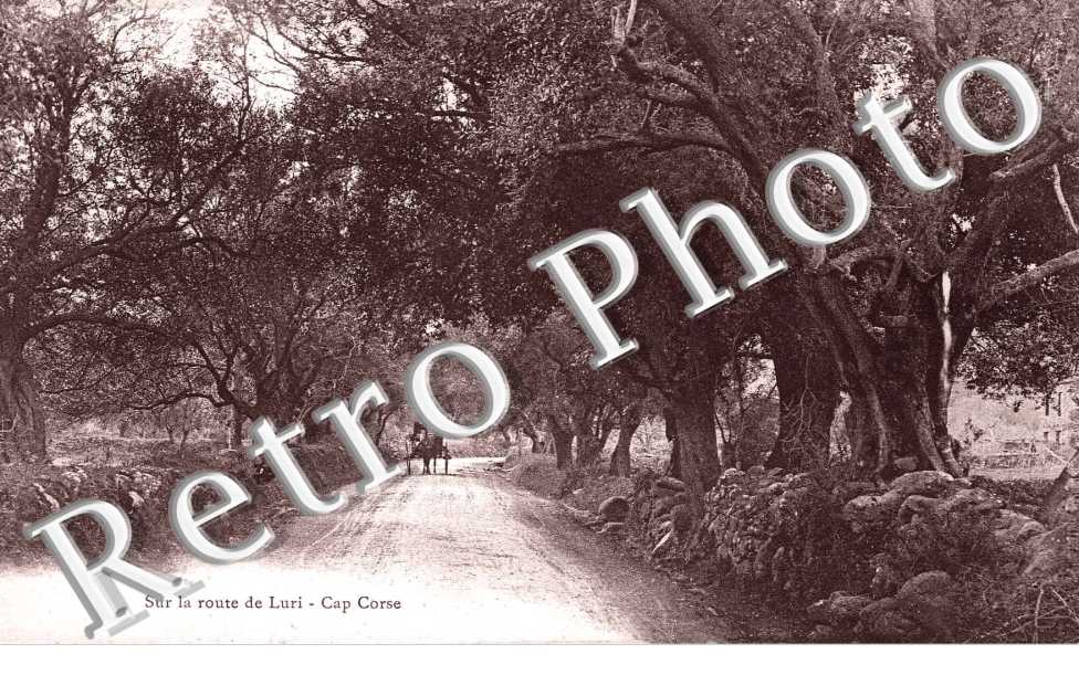 sur la route de Luri Cap Corse