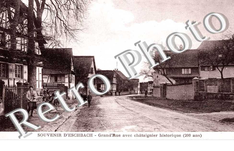 Grande rue et chataigner historique