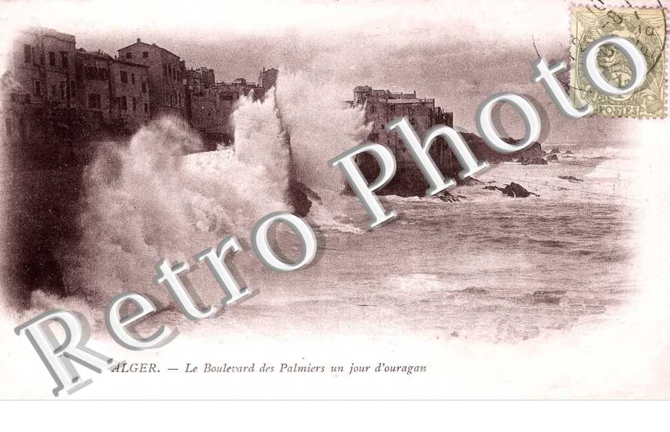 le boulevard des palmiers un jour d'ouragan