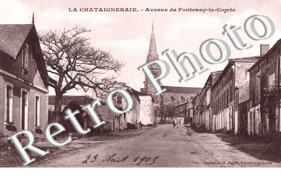 Avenue de Fontenay le Comte