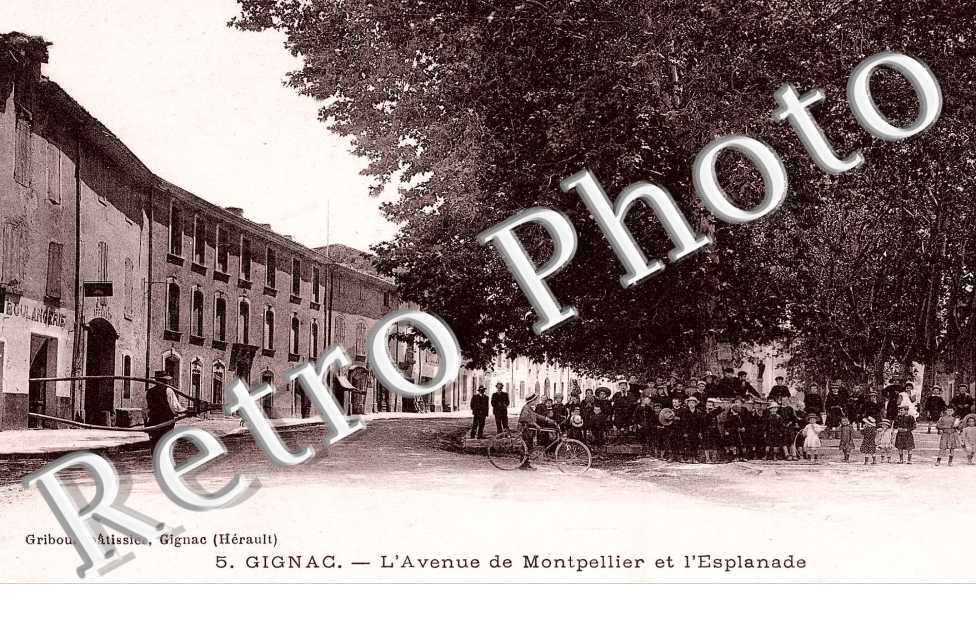 Avenue de Montepelier et esplanade