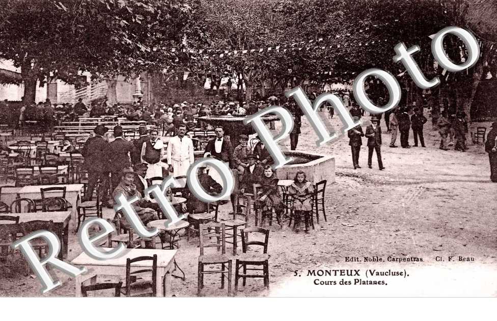 cours des platanes