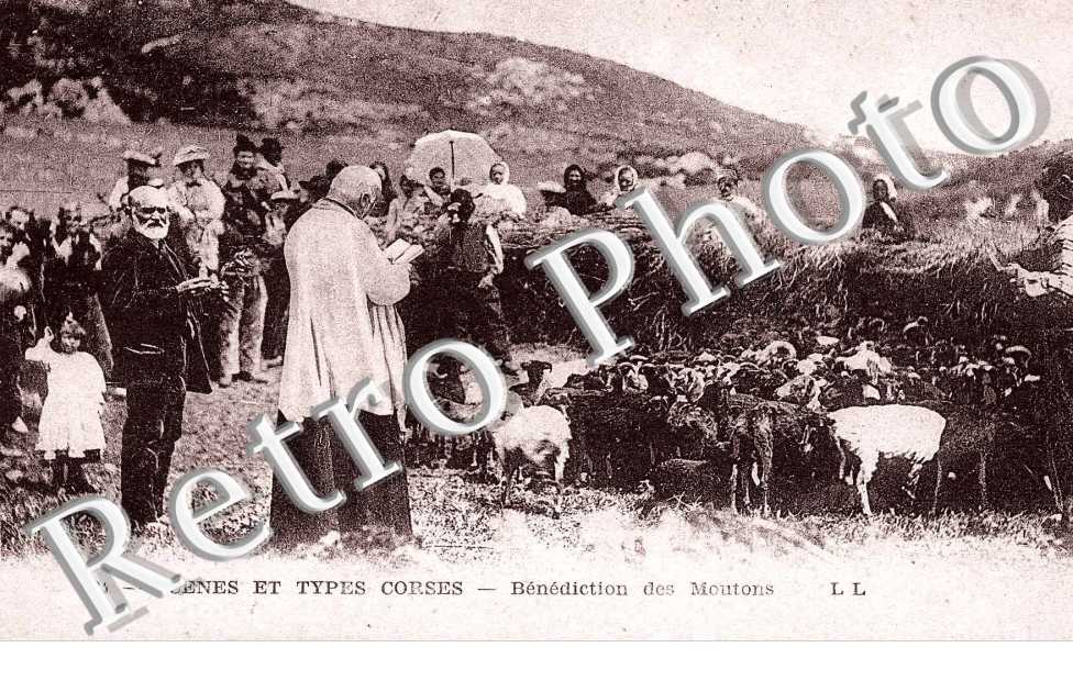Benediction des moutons - RELIGION