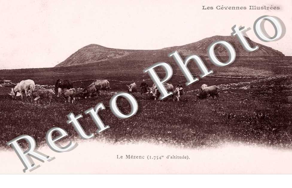 Le Mezenc