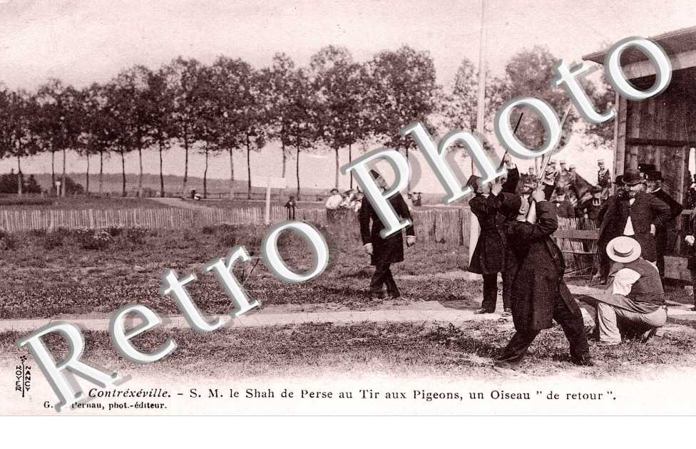 S.M. Le shah de perse au tir aux pigeons, un oiseau "de retour"