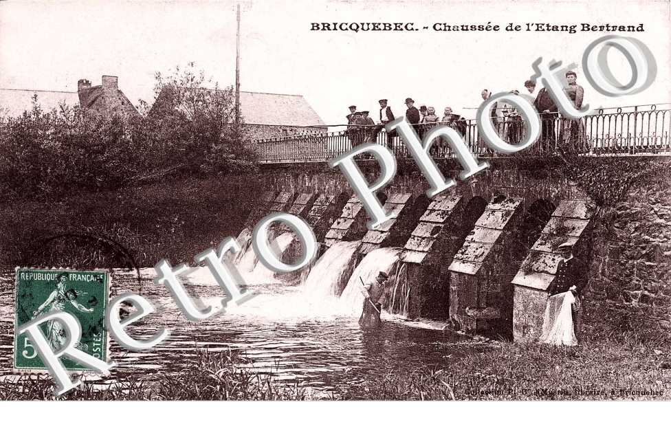 chaussee de l'etang Bertrand