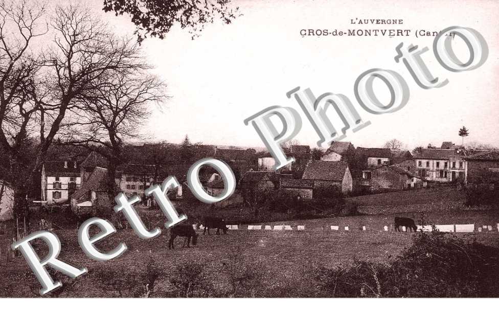 (vue generale)