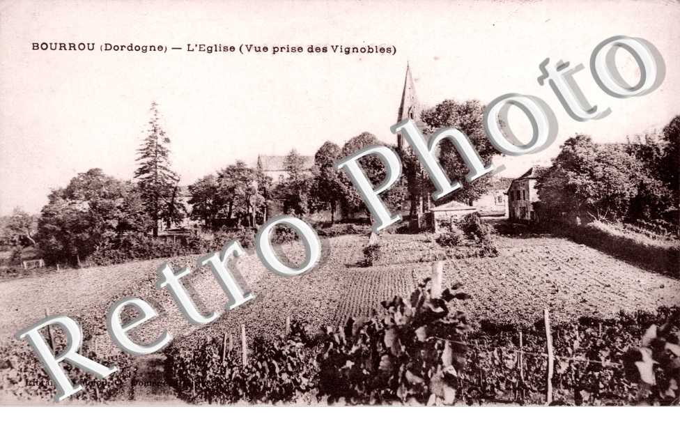 L'église - vue prise des vignobles