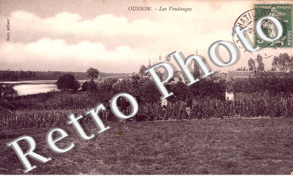 Les vendanges