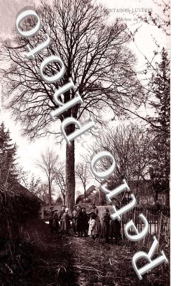 L'Arbre de la Liberte