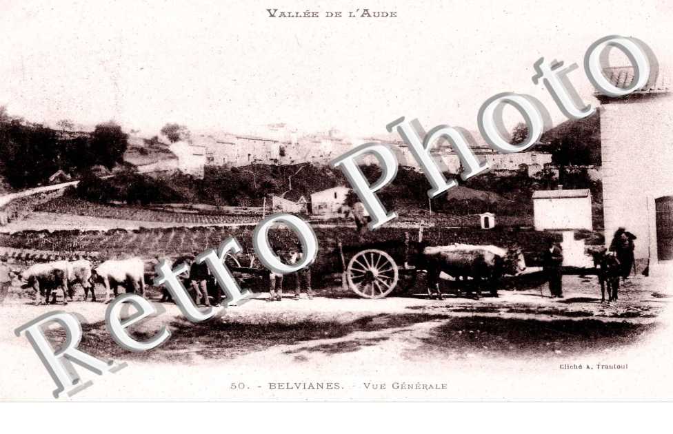 Vue générale
