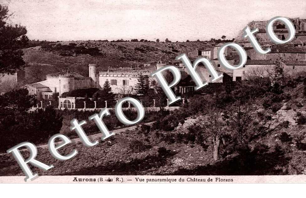 Vue generale du Chateau de Florans