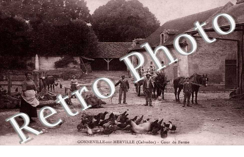 cour de ferme