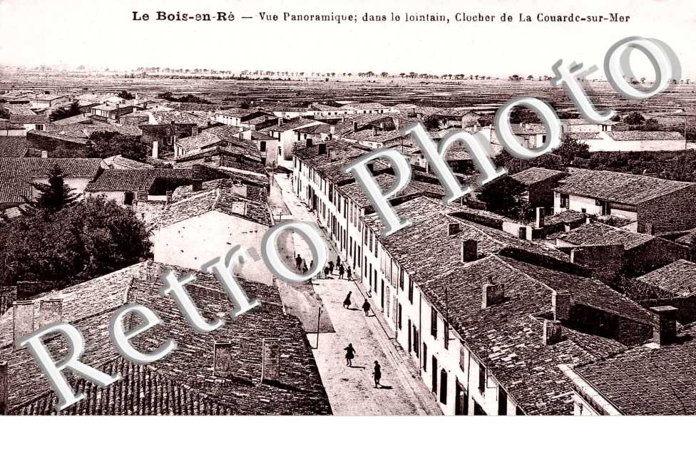 vue panoramique dans le lointain, clocher de la Couarde-sur-Mer