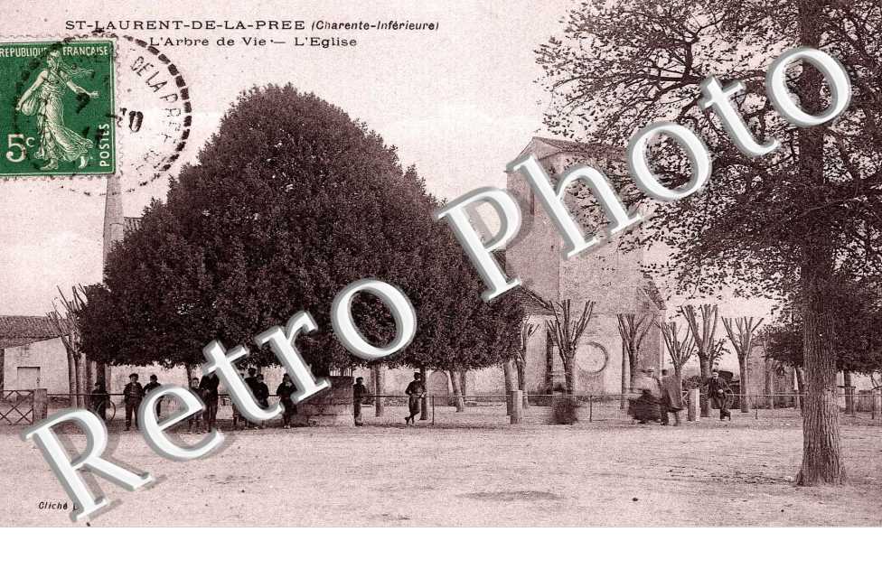 L' Arbre de Vie et l'Eglise