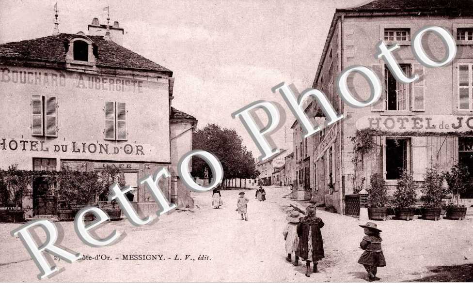 (hotel du lion d'Or)