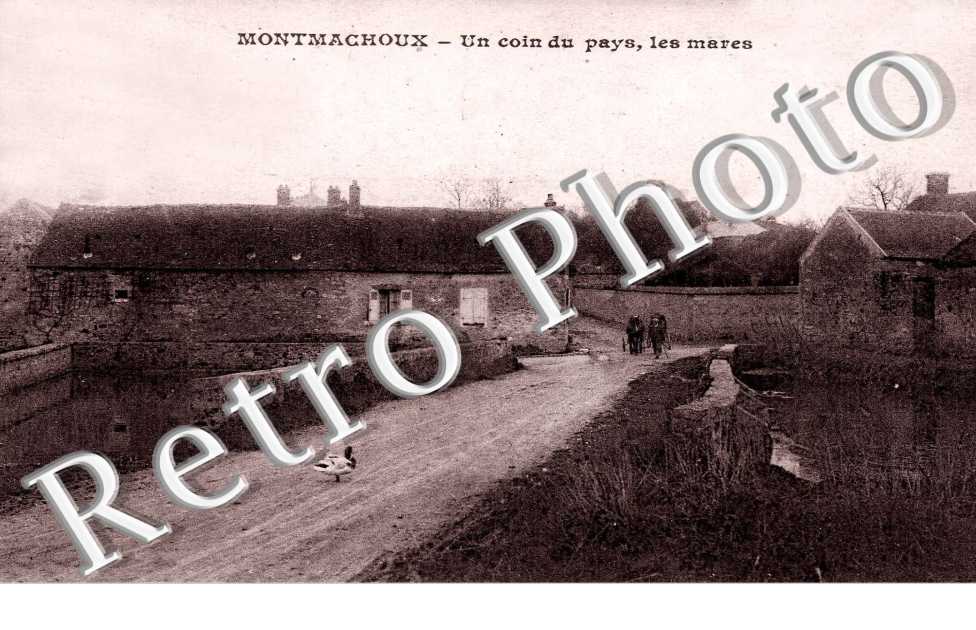 Un coin du pays - les mares