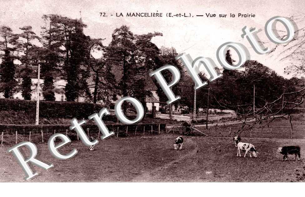 Vue sur la prairie