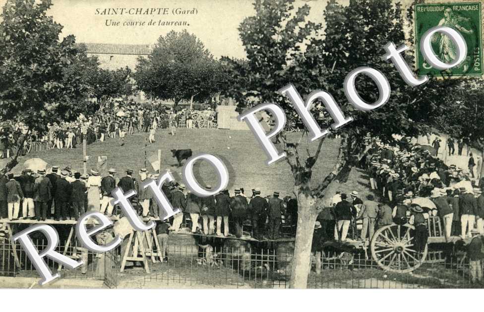 une course de taureaux