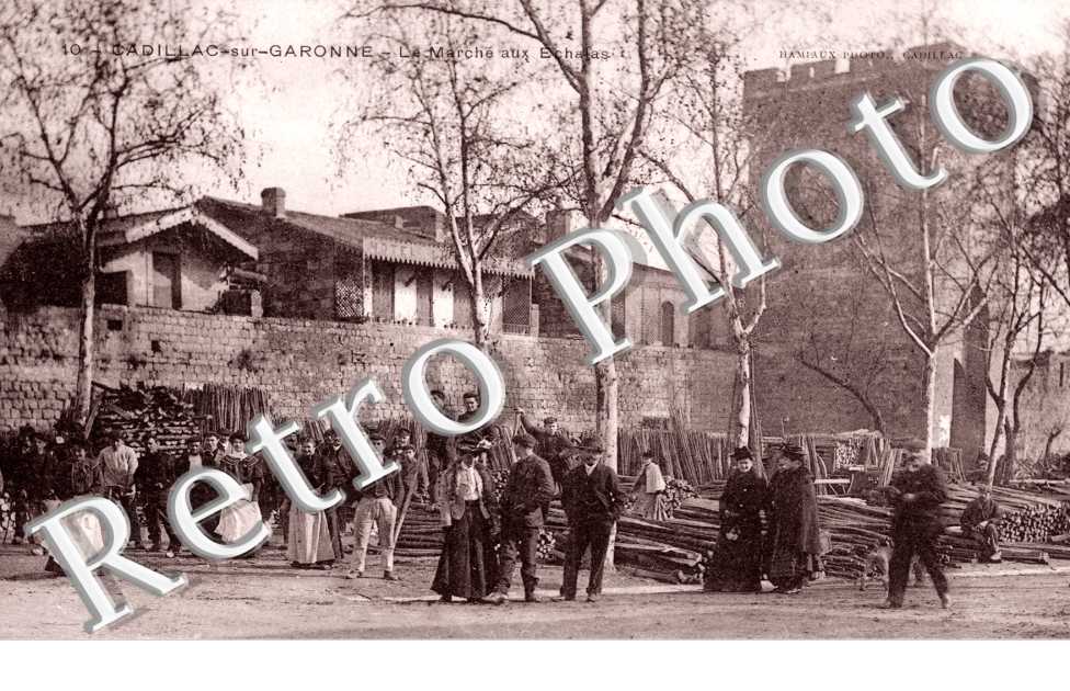 Le Marché aux Echalas