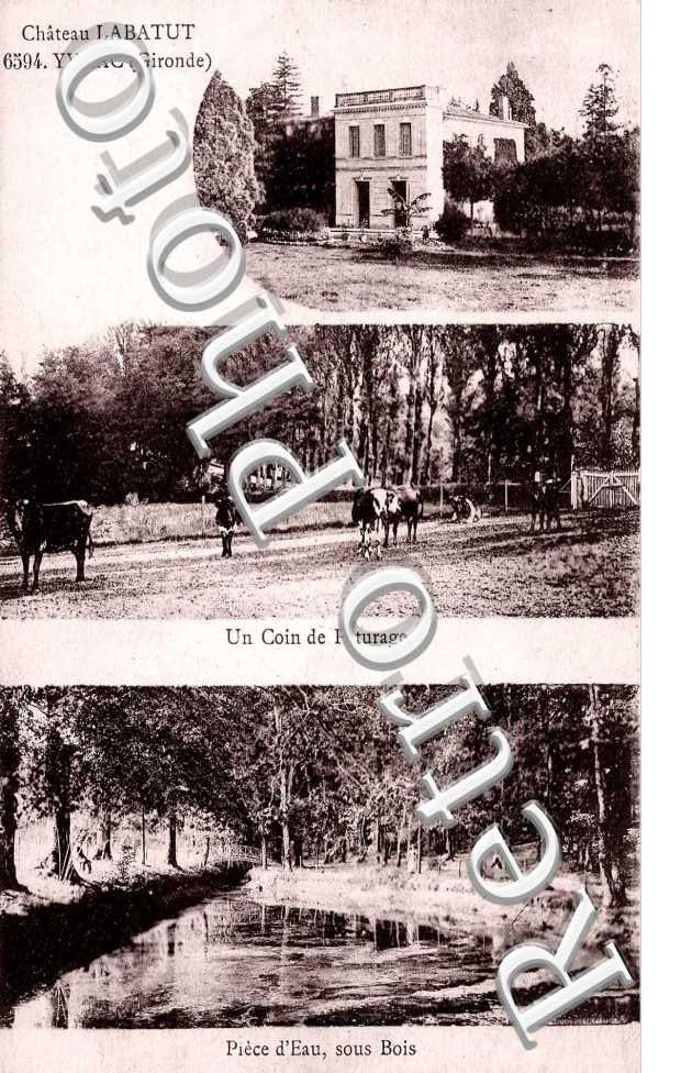 Le Chateau, les sous bois et un Paturage