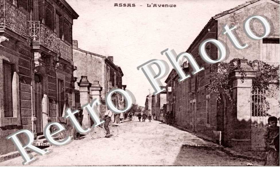 l'avenue