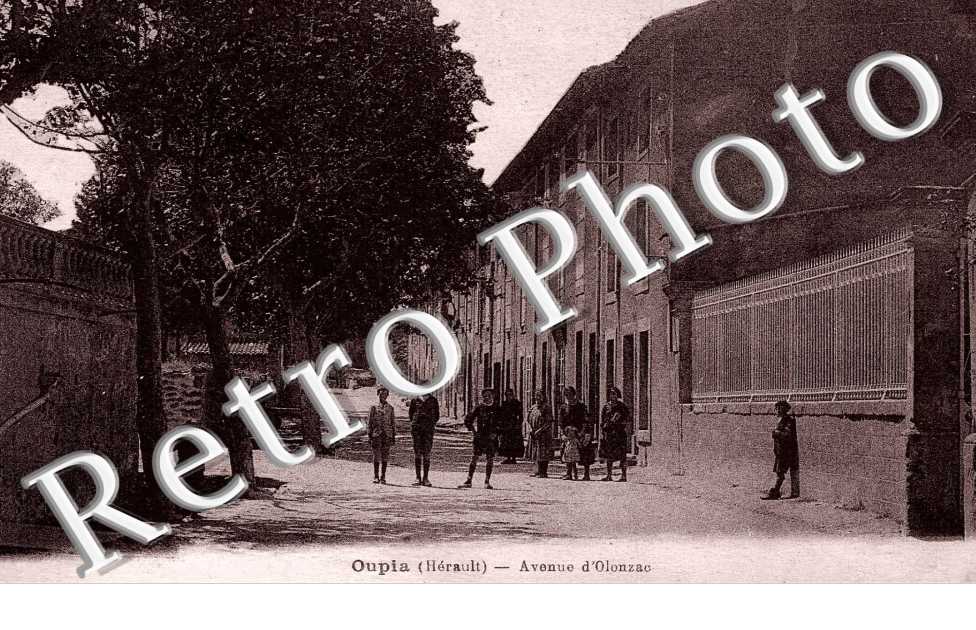 Avenue d'Olonzac